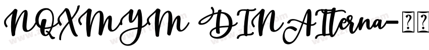 NQXMYM DINAIterna字体转换